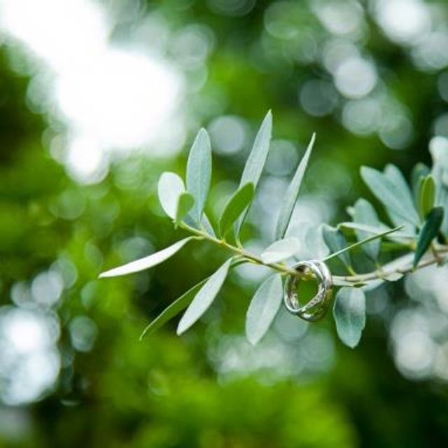 【俄(にわか)の口コミ】 本当は他のデザインのものを雑誌で見つけてそちらを見に行きました。
実際…