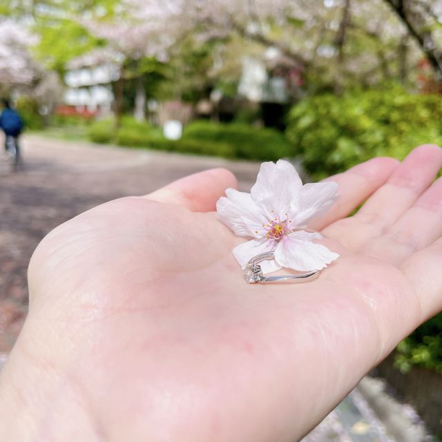 【TRECENTI(トレセンテ)の口コミ】 シンプルで、普段使いもできるようなデザインである、かつ、少し遊び心の…