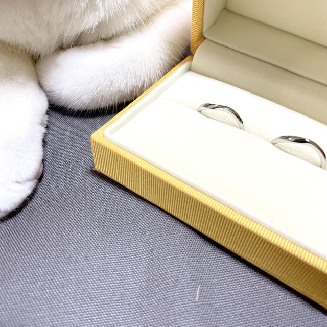 【ケイウノ ブライダル(K.UNO BRIDAL)の口コミ】 私が宝石等が付いていない、シンプルなデザインが良かったこと、また細め…