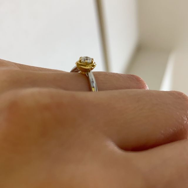 【Beauty and the Beast(ディズニー美女と野獣)の口コミ】 ゼクシィフェスタに婚約前に行った際、このシリーズが展示されていました…