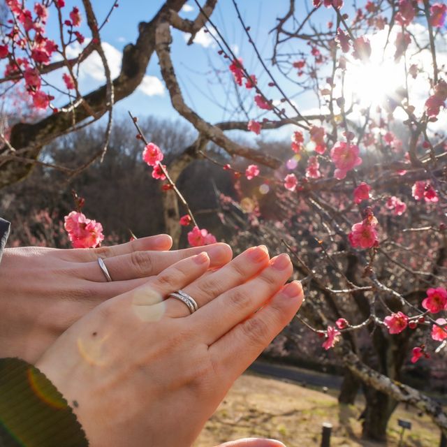 【ラザール ダイヤモンド(LAZARE DIAMOND)の口コミ】 指が太いのでなるべく長く見えるデザインが良くて決めました。リングは丸…