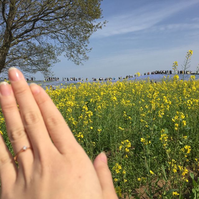 【TRECENTI(トレセンテ)の口コミ】 いくつかのデザインを試着させて頂きましたが、私の指にはこちらが一番合…