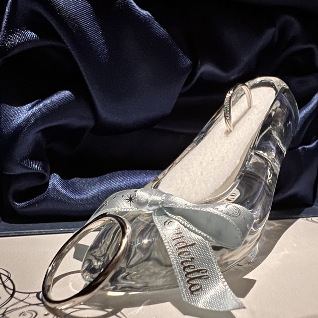 【Disney Cinderella(ディズニー シンデレラ)の口コミ】 だいたいの価格目安を決めていたので、そこで選択が絞られていた。
事前に…