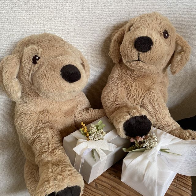 【mina.jewelry(ミナジュエリー)の口コミ】 デザインや指輪のカラーリングが豊富で
自分たちに合うデザインを作って頂…