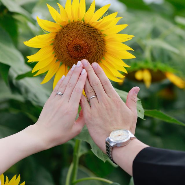 【ティファニー(Tiffany & Co.)の口コミ】 婚約指輪のティファニーノヴォに合わせて選びました。ハーモニーの指輪の…