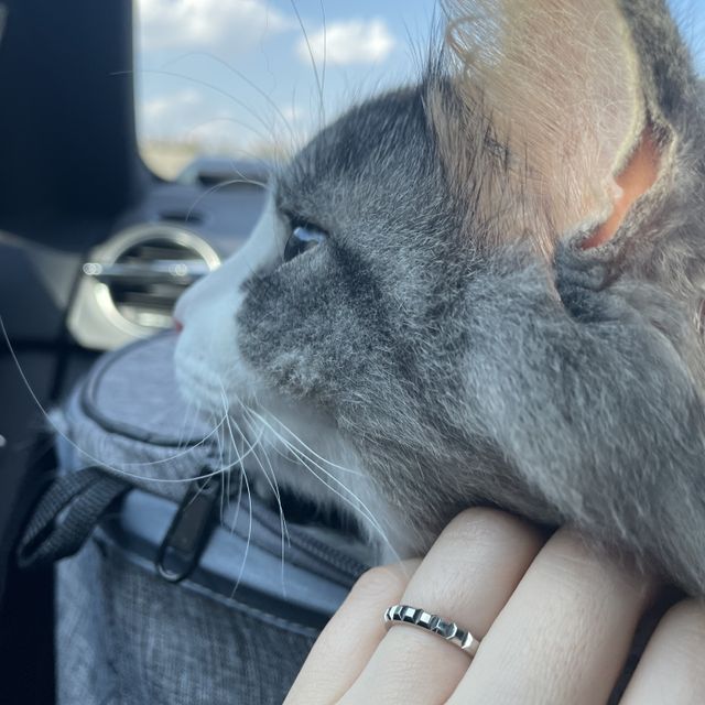 【ブシュロン(BOUCHERON)の口コミ】 ①ダイヤに負けないキラキラな輝き。②シンプルながら唯一無二のお洒落なデ…