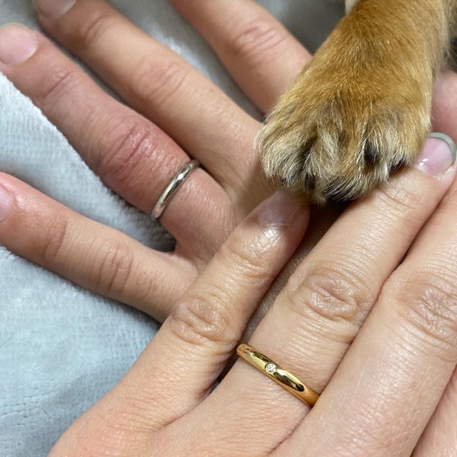 【カルティエ(Cartier)の口コミ】 憧れのブランドでしたのでカルティエで買うのは決めてました。
あとは、色…