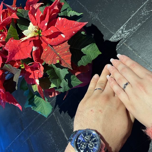 【アイプリモ(I-PRIMO)の口コミ】 リングの形がウェーブだから指が長く見えるところ。ダイアモンドが引っか…