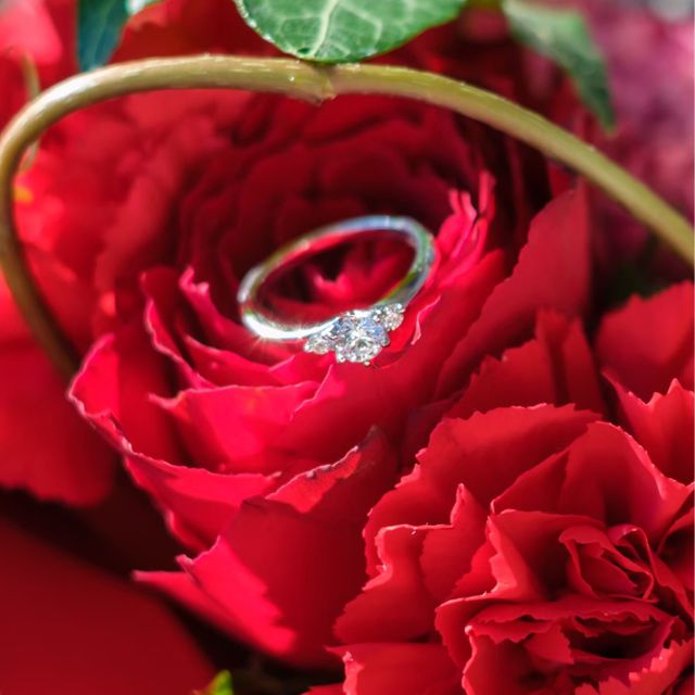 【銀座ダイヤモンドシライシの口コミ】 ダイヤモンドの3Cと価格のバランスがちょうどよかったのがダイヤモンドシ…