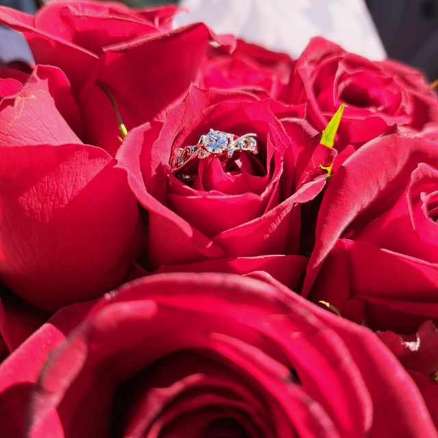 【マジョーレの口コミ】 人と被るのが嫌いで、ブランドに興味のない私のために、パートナーが色々…