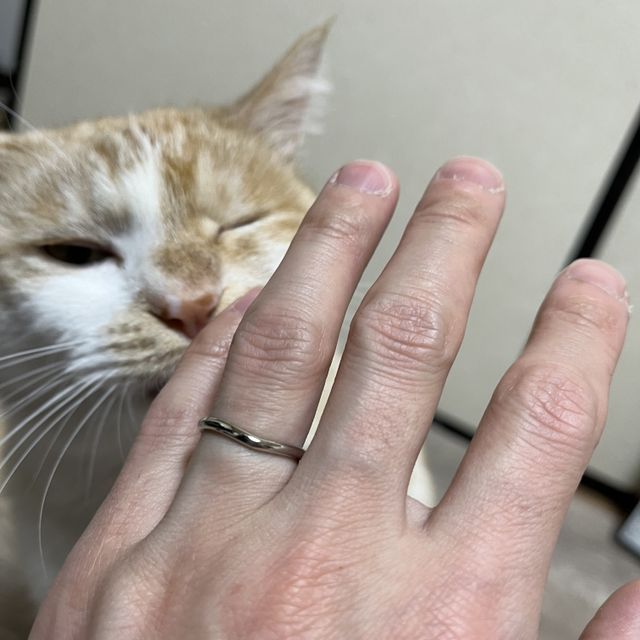 【アイプリモ(I-PRIMO)の口コミ】 指輪の細さ、コスト、デザインを重視して選びました。真ん中の部分がVにな…