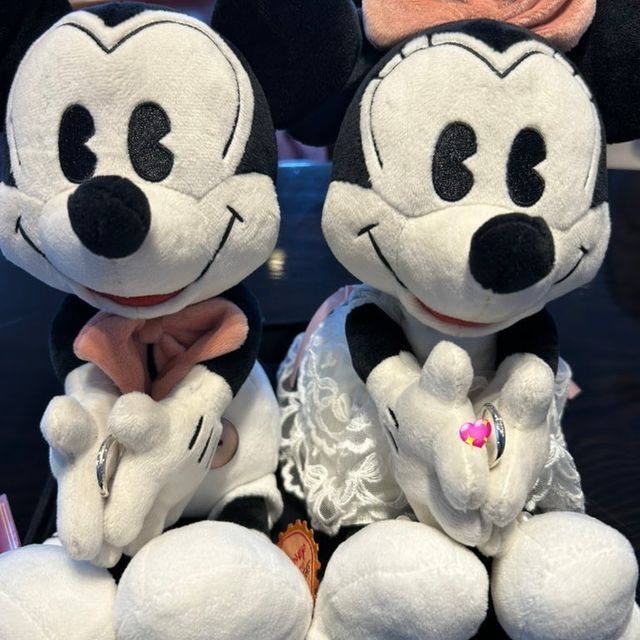 【ケイウノ ブライダル(K.UNO BRIDAL)の口コミ】 セミオーダーで、ディズニーらしさをあしらったデザインにしてもらいまし…