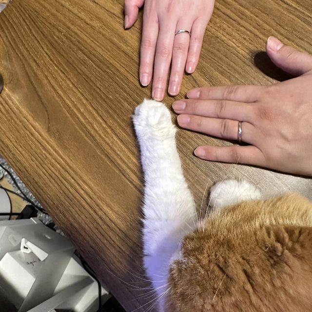 【アイプリモ(I-PRIMO)の口コミ】 ゴールドとシルバーの2色が使われていて、S字の形になっていて着用時に指…