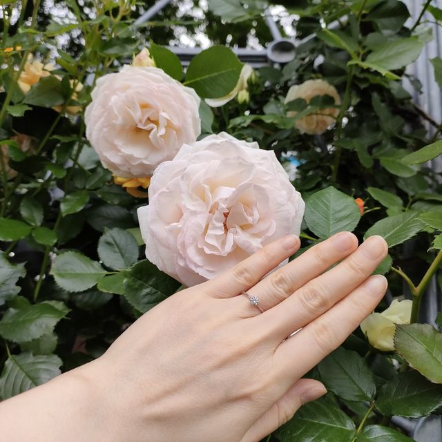 【和光ブライダルブティックギンザの口コミ】 とにかく着け心地がいいです。
ダイヤモンドを目立たせるために、アームが…