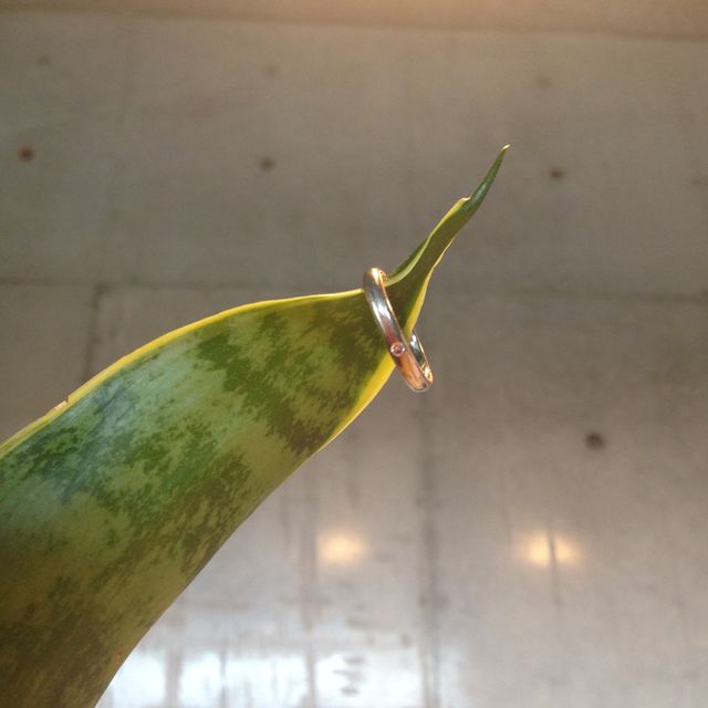 【CHRISTIAN BAUER(クリスチャンバウアー)の口コミ】 ピンクゴールドとミル打ち、が好きだったのでそれをキーワードに探してい…