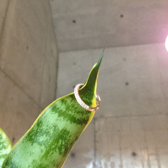 【Ponte Vecchio(ポンテヴェキオ)の口コミ】 婚約指輪といえば立て爪の指輪を連想し、あまり欲しいと思っていませんで…