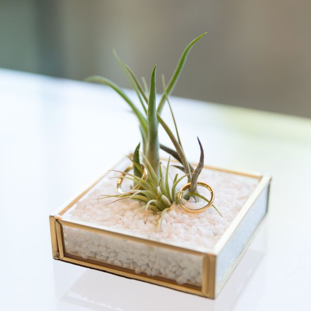 【PROOF OF GUILD(プルーフオブギルド)の口コミ】 価格帯は高すぎず、安すぎず、というのと、いろんな店舗に回っている中で…