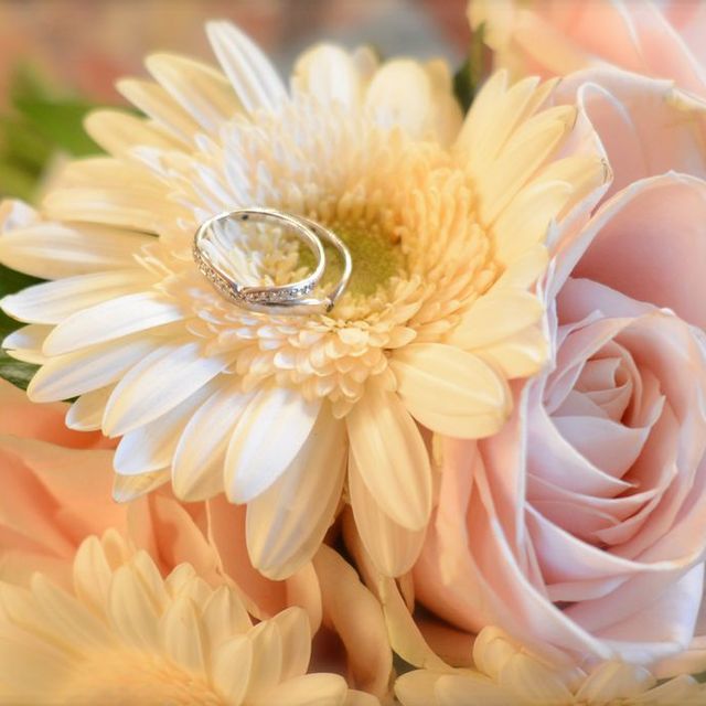 【festaria bijou SOPHIA(フェスタリア ビジュソフィア)の口コミ】 銀座、表参道にある貴金属店を片っ端から見て回りましたが、これというも…