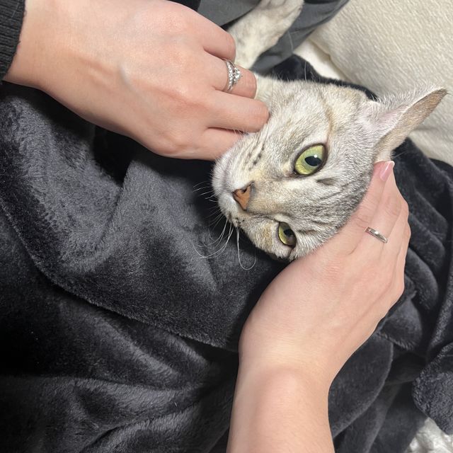 【アイプリモ(I-PRIMO)の口コミ】 着用時の婚約指輪と結婚指輪のぴったりはまる感じがとても素敵でした。指…