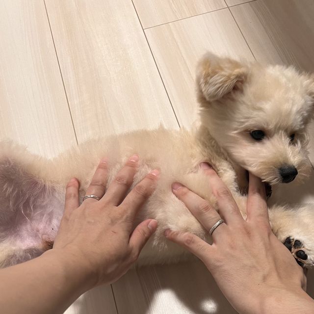 【CRAFY(クラフィ)の口コミ】 たまに、金属アレルギーが出る為、
プラチナてミルグレイン加工にしました…