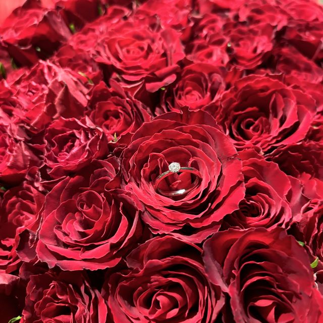 【出雲結(いずもゆい)の口コミ】 ダイヤが際立つ、シンプルなデザインを選びました。
光が当たるとキラキラ…