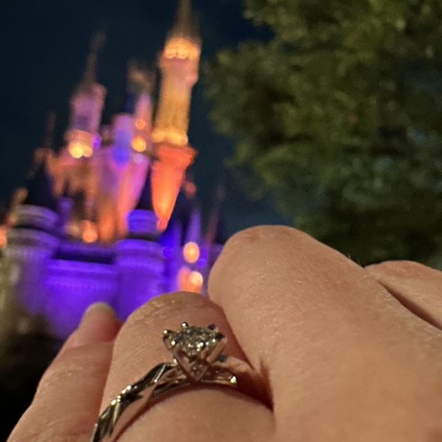 【ケイウノ ブライダル(K.UNO BRIDAL)の口コミ】 彼女の大好きなアナと雪の女王モデルで
氷の階段のデザインが他のブランド…