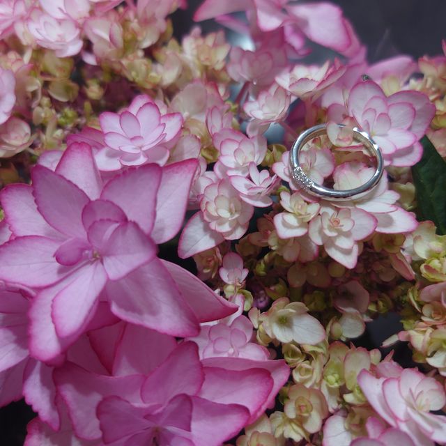 【ラザール ダイヤモンド(LAZARE DIAMOND)の口コミ】 ３方向にダイヤモンドが埋め込まれており、合計９個付いています。どこか…