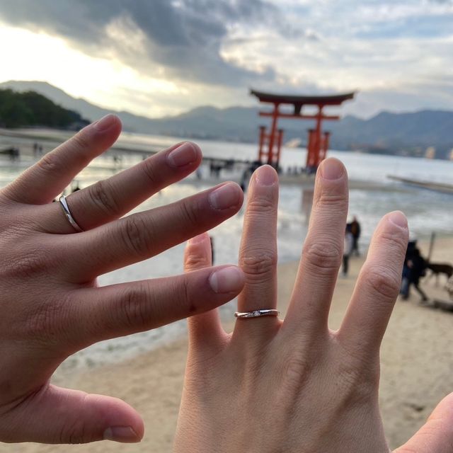 【4℃ BRIDAL(ヨンドシーブライダル)の口コミ】 男性側の指輪はマットなデザインになっており、落ち着いた感じでいつまで…