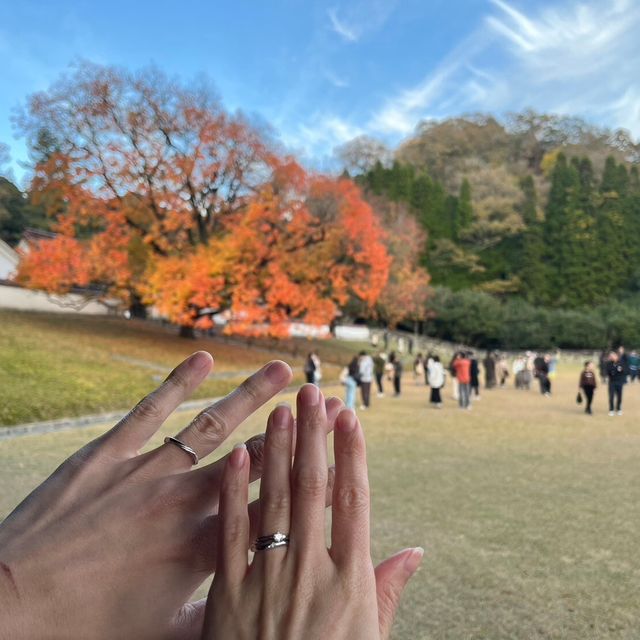 【アイプリモ(I-PRIMO)の口コミ】 店員さんにデスクワークが多いとお話しすると、「指輪が目に入る機会が多…