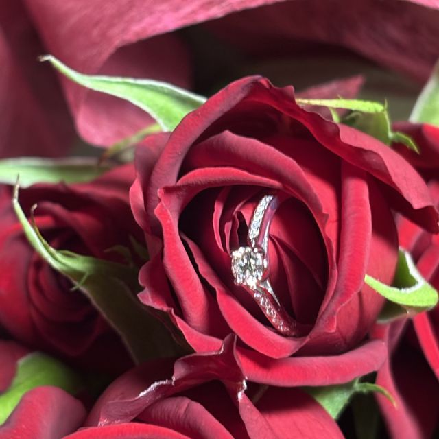 【ラザール ダイヤモンド(LAZARE DIAMOND)の口コミ】 つるばらがダイヤモンドの花を咲かせたような優美なフォルムが特徴のライ…