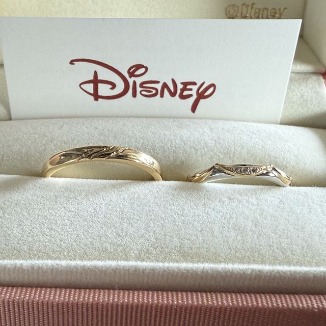 【ケイウノ ブライダル(K.UNO BRIDAL)の口コミ】 美女と野獣のデザインがかわいい。
ディズニーのデザインがすごく素敵で
…