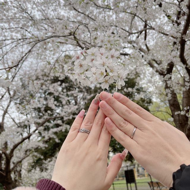 【銀座ダイヤモンドシライシの口コミ】 妻の指輪はも婚約指輪と結婚指輪でセットで使用でき、とても可愛いです。
…