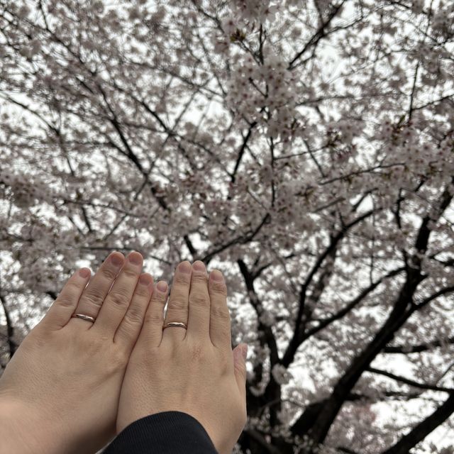 【ケイウノ ブライダル(K.UNO BRIDAL)の口コミ】 2人の大好きなチップとデールをモチーフにした、素晴らしい指輪を作ってい…