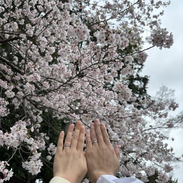 【エクセルコダイヤモンド(EXELCO DIAMOND)の口コミ】 シンプルだけど一癖あるデザインに惹かれました。また、少し指が太めなの…