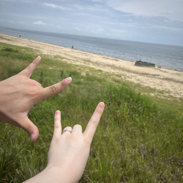 【アイプリモ(I-PRIMO)の口コミ】 シリウスという指輪をいただきました！サプライズで購入してくれていたの…