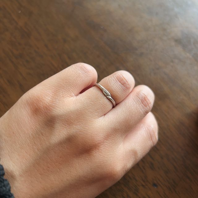 【Beauty and the Beast(ディズニー美女と野獣)の口コミ】 Disney好きなの方には強くオススメします！
美女と野獣が好きだったことも…