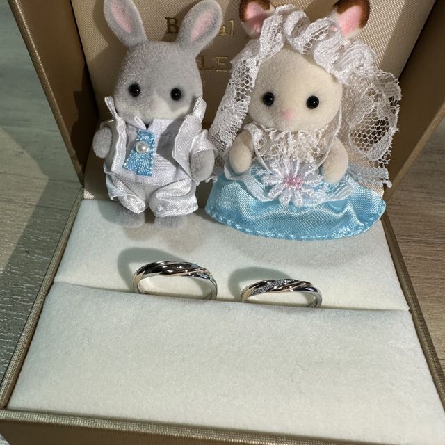 【LEGAN(レガン)の口コミ】 指輪の形やダイヤ、カラーバリエーションなど、たくさん種類があり、自由…