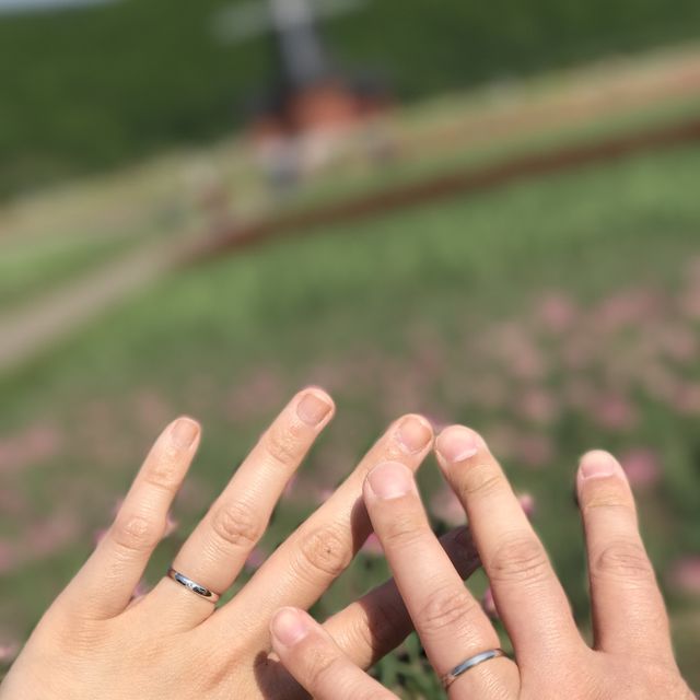 【insembre(インセンブレ)の口コミ】 何種類か迷いましたがシンプルで色がシルバーな物を探していたのでこちら…