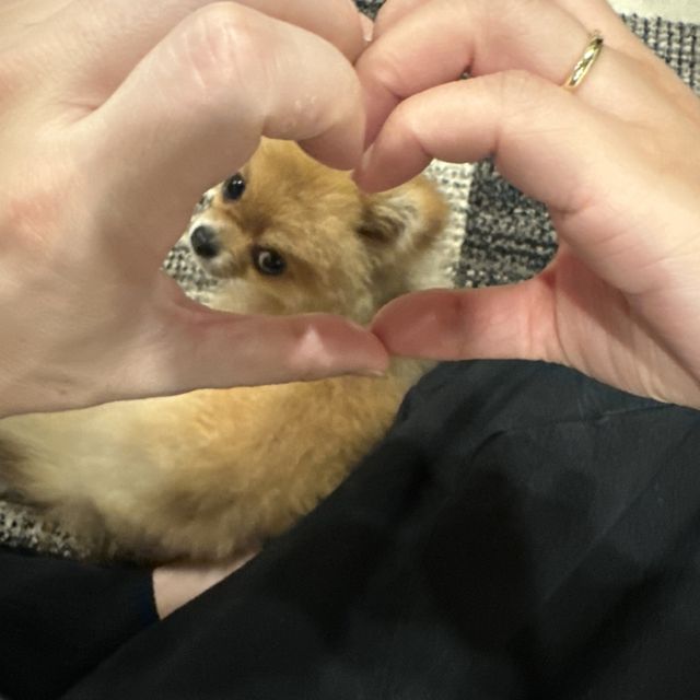 【アイプリモ(I-PRIMO)の口コミ】 見た目が薄くも厚くもないシンプルな感じで、着け心地が良い物を選びまし…