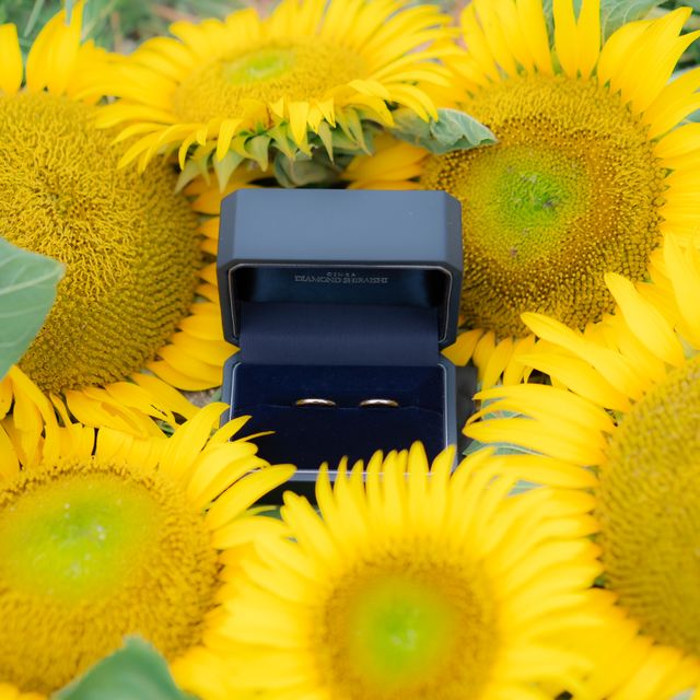 【銀座ダイヤモンドシライシの口コミ】 指輪は2人で話し合って、目立ちにくく、シンプルなものがよいねと言ってい…