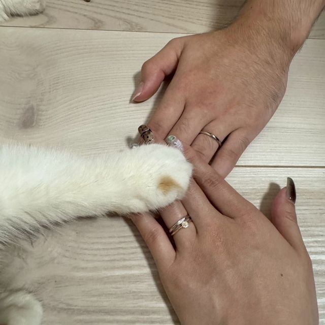 【アイプリモ(I-PRIMO)の口コミ】 アイプリモの指輪は頑丈ですし、何よりもシンプルですけど飽きないデザイ…