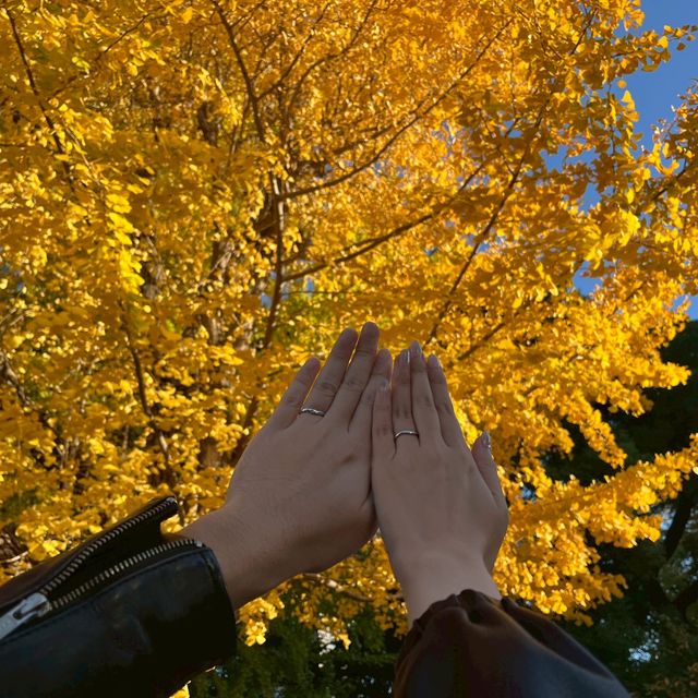 【アイプリモ(I-PRIMO)の口コミ】 種類がたくさんありました。少し変わった形にしたかったのでねじったよう…