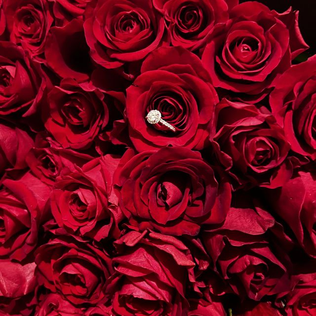 【銀座ダイヤモンドシライシの口コミ】 一生に一度のものなので妥協したくなくて大きいダイヤを選びました！毎日…