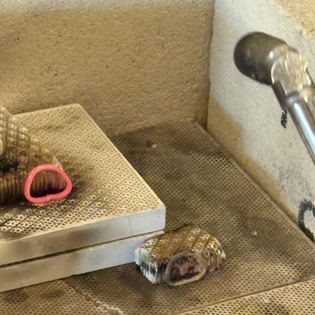 【CRAFY(クラフィ)の口コミ】 手作りで一から仕上げた結婚指輪は、世界に一つだけの
特別な存在。制作中…