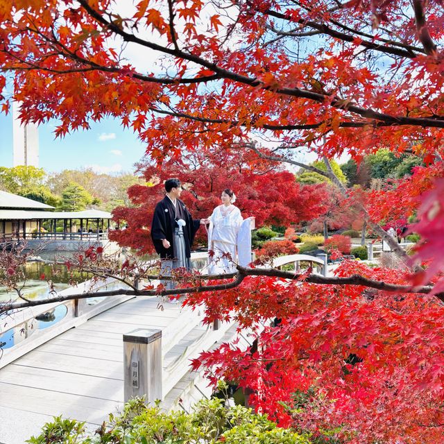 【出雲結(いずもゆい)の口コミ】 シンプルかつ独自性のある指輪で島根という縁結びに関わる地でありとても…