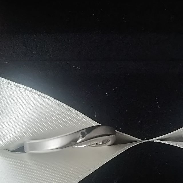 【エクセルコダイヤモンド(EXELCO DIAMOND)の口コミ】 結婚指輪がストレートなので、ウェーブがきれいな指輪にしました。他のお…