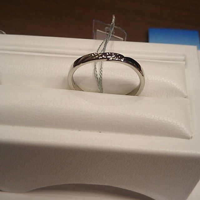 【BRIDGE(ブリッジ)の口コミ】 【水は急がず怠けずただしっかりと自分のペースで歩を進めます、二人の歩…