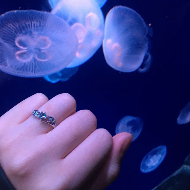 【スノープレシャスダイヤモンド(Snow Precious Diamond)の口コミ】 私の名前には雪がついていて小さい頃から雪が好きで、今でも雪の結晶の物…