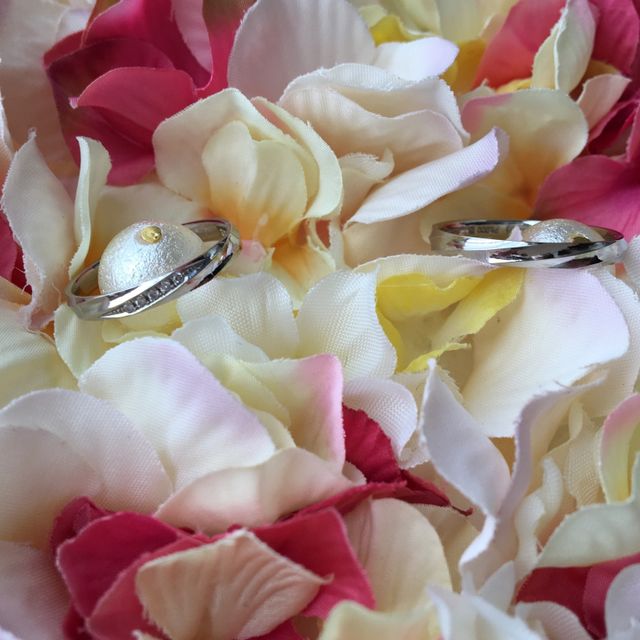 【insembre(インセンブレ)の口コミ】 ネットで調べてインセンブレのことを知り値段、デザインとも魅力的だった…