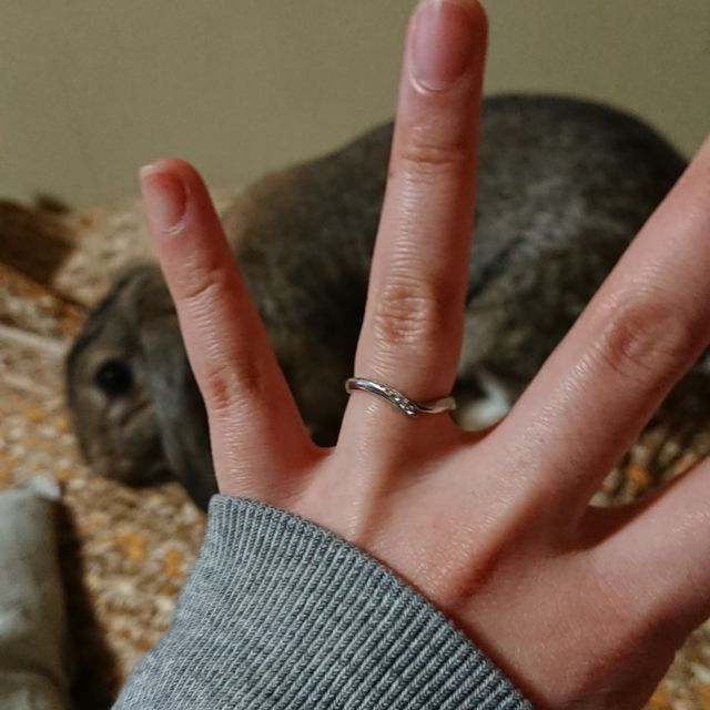 【俄(にわか)の口コミ】 指輪のデザインや名前に込められた意味が気に入りました。何より、指には…